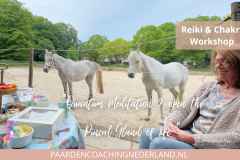 Paardencoaching Nederland Gelderland Reiki Cursus 8x5