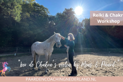 Paardencoaching Nederland Gelderland Reiki Cursus 8x5