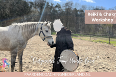 Paardencoaching Nederland Gelderland Reiki Cursus 8x5