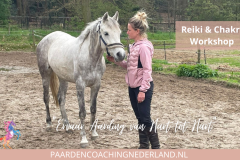 Paardencoaching Nederland Gelderland Reiki Cursus 8x5-7