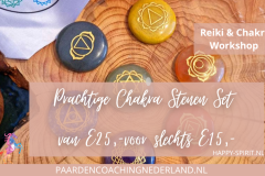 Paardencoaching Nederland Gelderland Reiki Cursus 8x5-8