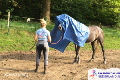 5.Schriktraining-paardencoaching-nederland-nijmegen