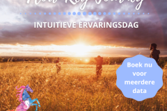 Paardencoaching nederland 5x5 - Paardencoaching-Nederland-Flow-Key-Journey-25