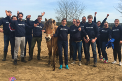 Paardencoaching-nederland-frontpage-3luik5x5 - Paardencoaching-Nederland-Gelderland-5x5-2