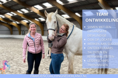 Paardencoaching Nederland Teamcoaching 8x5 - Paardencoaching-Nederland-gelderland-nijmegen-Teamcoaching-Leiderschap-training-1