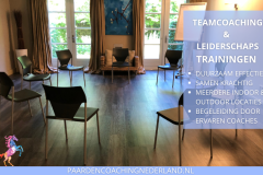 Paardencoaching Nederland Teamcoaching 8x5 - Paardencoaching-Nederland-gelderland-nijmegen-Teamcoaching-Leiderschap-training-3