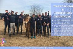 Paardencoaching Nederland Teamcoaching 8x5 - Paardencoaching-Nederland-gelderland-nijmegen-Teamcoaching-Leiderschap-training-4