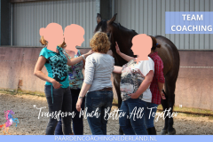 Paardencoaching Nederland Teamcoaching 8x5 - Paardencoaching-Nederland-gelderland-nijmegen-Teamcoaching-Leiderschap-training-5