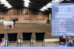 Paardencoaching Nederland Teamcoaching 8x5 - Paardencoaching-Nederland-gelderland-nijmegen-Teamcoaching-Leiderschap-training-6