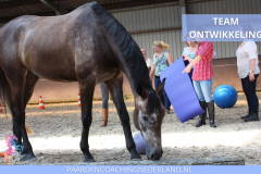 Paardencoaching Nederland Teamcoaching 8x5 - Paardencoaching-Nederland-gelderland-nijmegen-Teamcoaching-Leiderschap-training-8