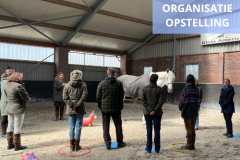 Paardencoaching-nederland-frontpage-3luik5x5 - 10