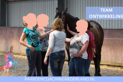 Teamontwikkeling Paardencoaching Nederland 8x5 - 14