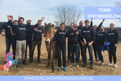 Teamontwikkeling Paardencoaching Nederland 8x5 - 6