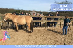 Teamontwikkeling Paardencoaching Nederland 8x5 - 7