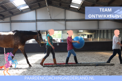 Teamontwikkeling Paardencoaching Nederland 8x5 - 8