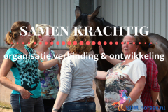 organisatie ontwikkeling paardencoach gelderland 2