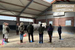 Paardencoaching Gelderland Nijmegen Groesbeek 8x5 - Paardencoach-Gelderland-Nijmegen-Groesbeek-8x5-2