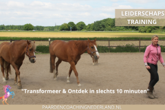 Paardencoaching Gelderland Nijmegen Groesbeek 8x5 - Paardencoach-Gelderland-Nijmegen-Groesbeek-8x5-3