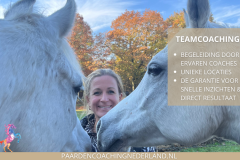 Paardencoaching Gelderland Nijmegen Groesbeek 8x5 - Paardencoach-Gelderland-Nijmegen-Groesbeek-6
