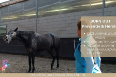 Paardencoaching Gelderland Nijmegen Groesbeek 8x5 - Paardencoaching-Gelderland-Nederland-gelderland-nijmegen-Teamcoaching-Leiderschap-training-7