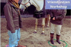 24 Paardencoaching Nederland 5x5 - Individuele Paardencoaching 1