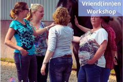 24 Paardencoaching Nederland 5x5 - Individuele Paardencoaching 1 (2)
