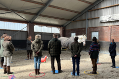 Paardencoaching-nederland-frontpage-3luik5x5 - Paardencoaching-Nederland-Gelderland-5x5-3