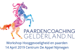 1.workshop-HSP-paardencoaching-nijmegen-2019.workshop-HSP-paardencoaching-nijmegen-2019