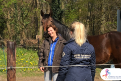 14.workshop-HSP-paardencoaching-nijmegen-2019.workshop-HSP-paardencoaching-nijmegen-2019