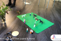 2.workshop-HSP-paardencoaching-nijmegen-2019.workshop-HSP-paardencoaching-nijmegen-2019