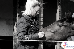 26.workshop-HSP-paardencoaching-nijmegen-2019.workshop-HSP-paardencoaching-nijmegen-2019