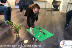 3.workshop-HSP-paardencoaching-nijmegen-2019.workshop-HSP-paardencoaching-nijmegen-2019