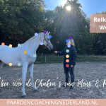 Ontdek de kracht van Chakra's en Reiki bij Mens & Paard! | Workshop