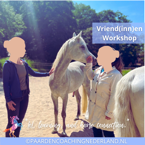 Partner of Vriend(inn)en Workshop